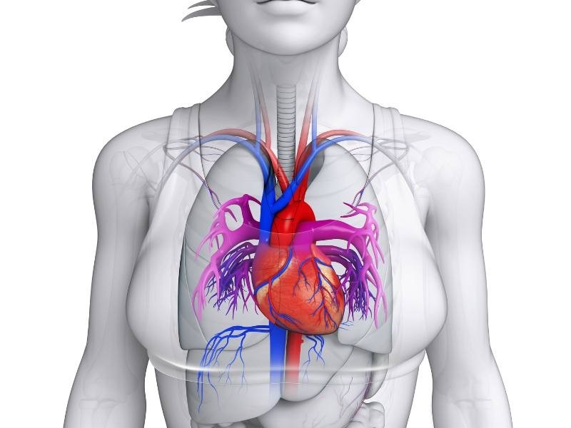 Conheça as 5 doenças cardiológicas mais comuns